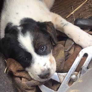 Meet your Posher, Kathryn